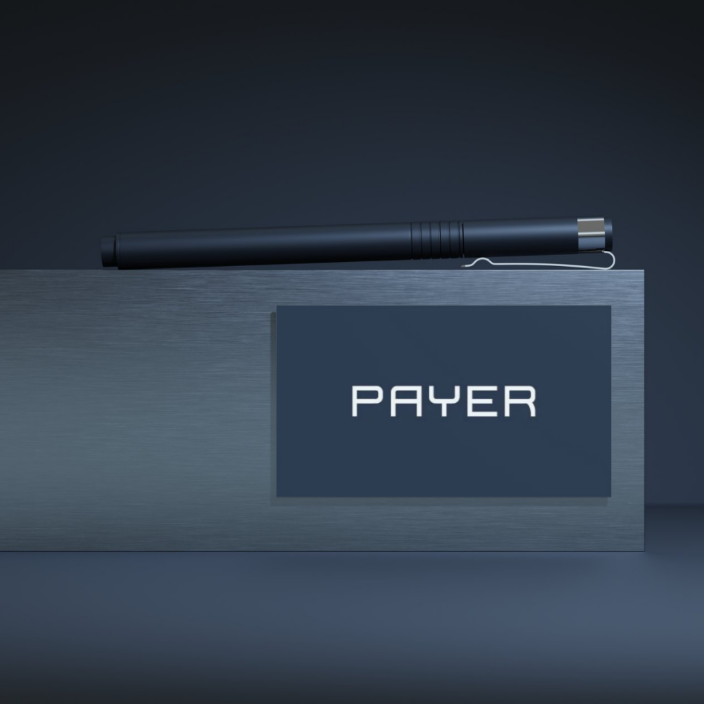 PAYER Logo Development